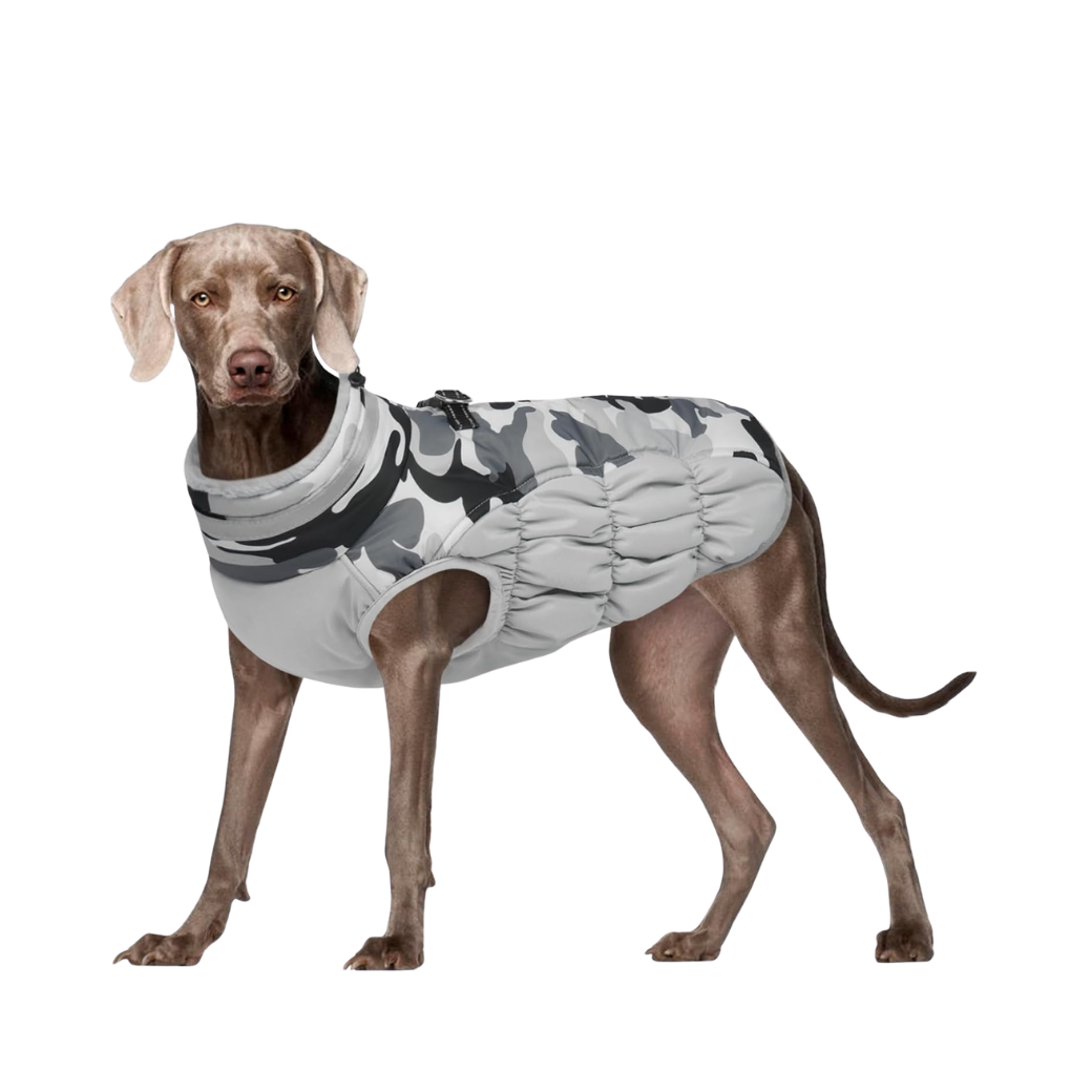 Gear 67 Waterproof Dog Coat